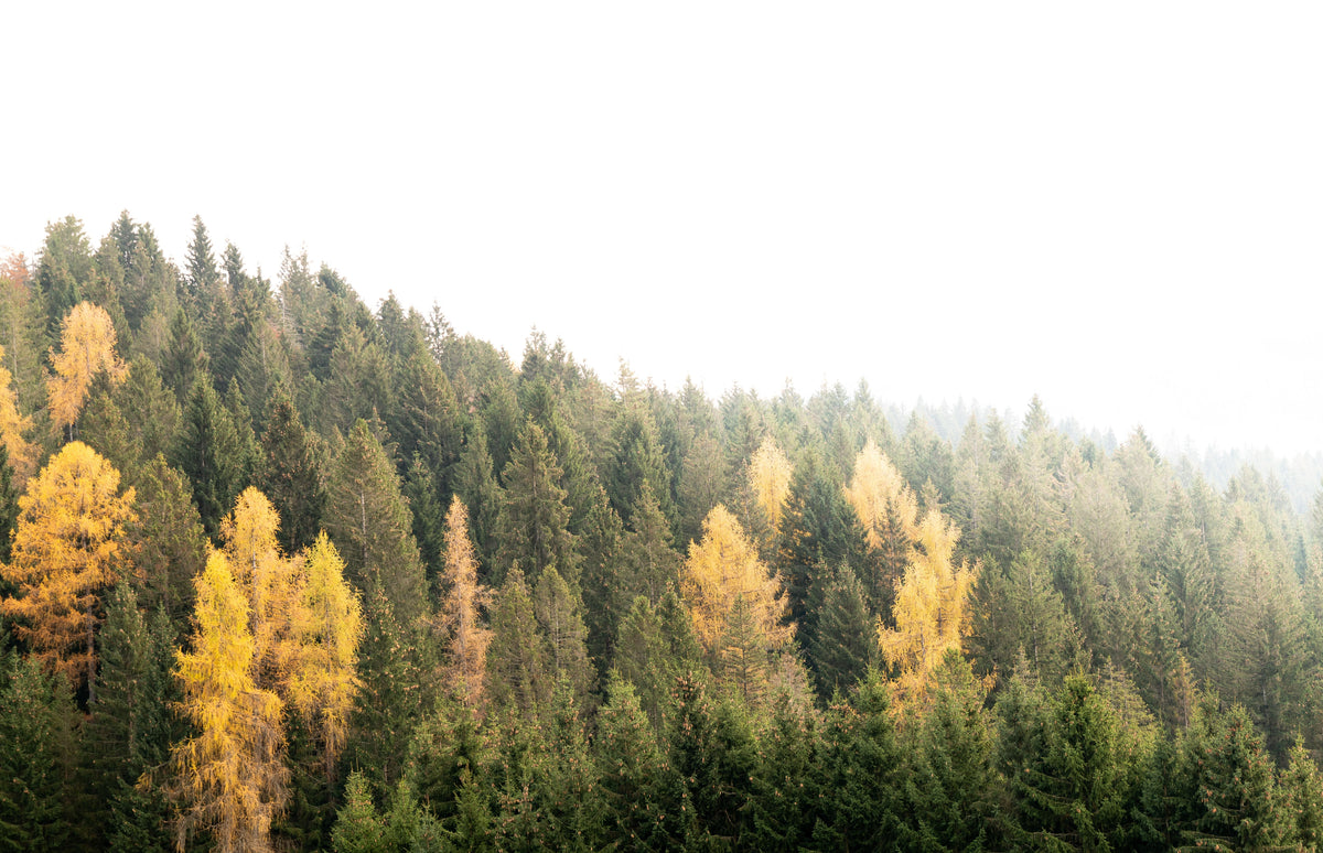 From the Asiago Plateau to your beauty bag: an autumn anti-ageing recipe