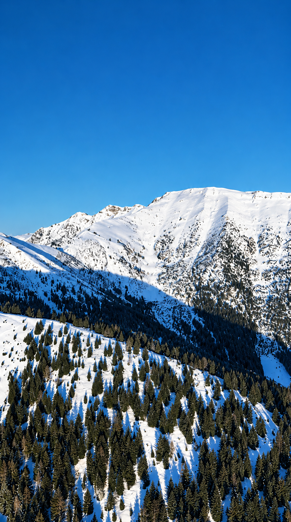 Winter sun: why your Daily Defense never goes on holiday