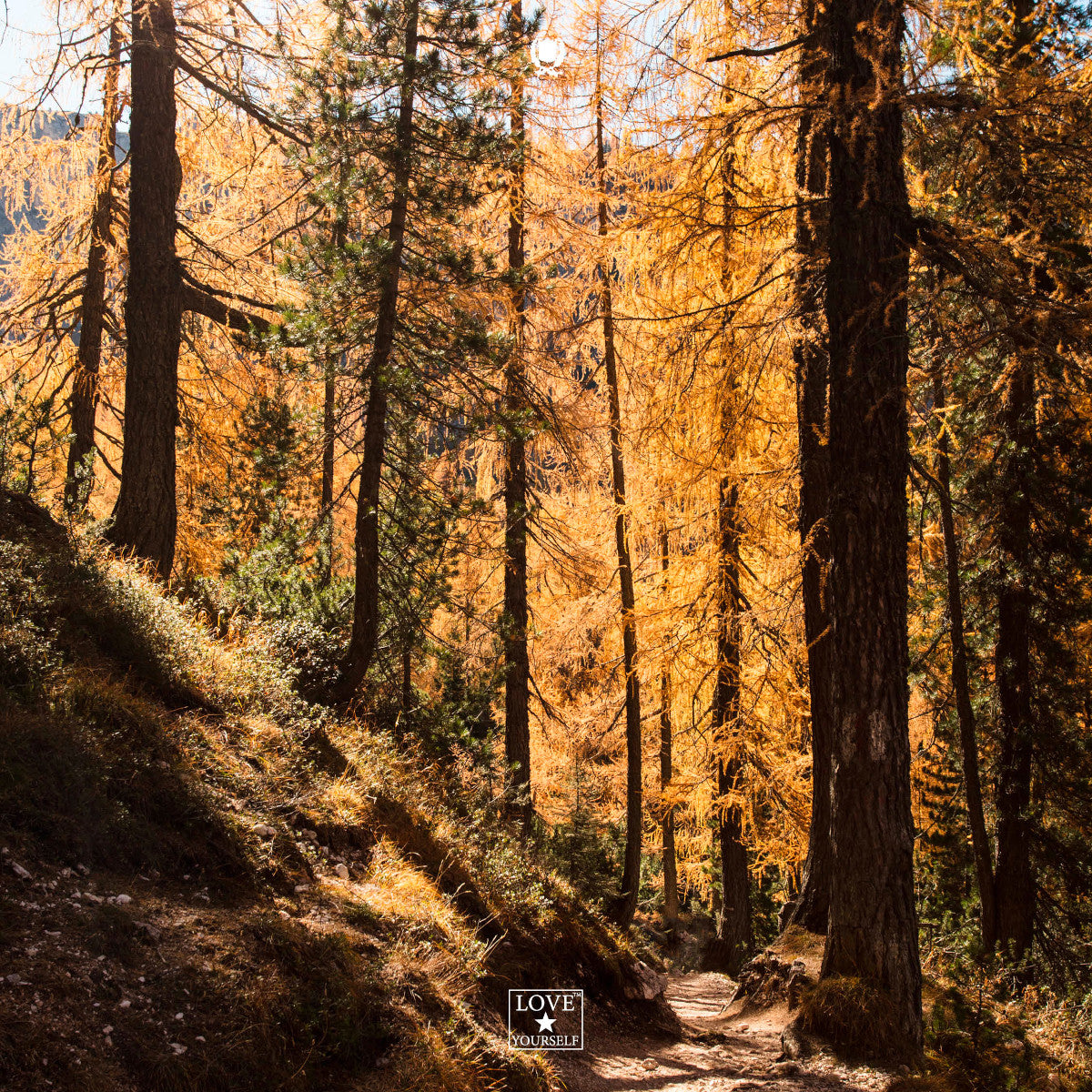 Back to everyday life: autumn skincare to restore your glow