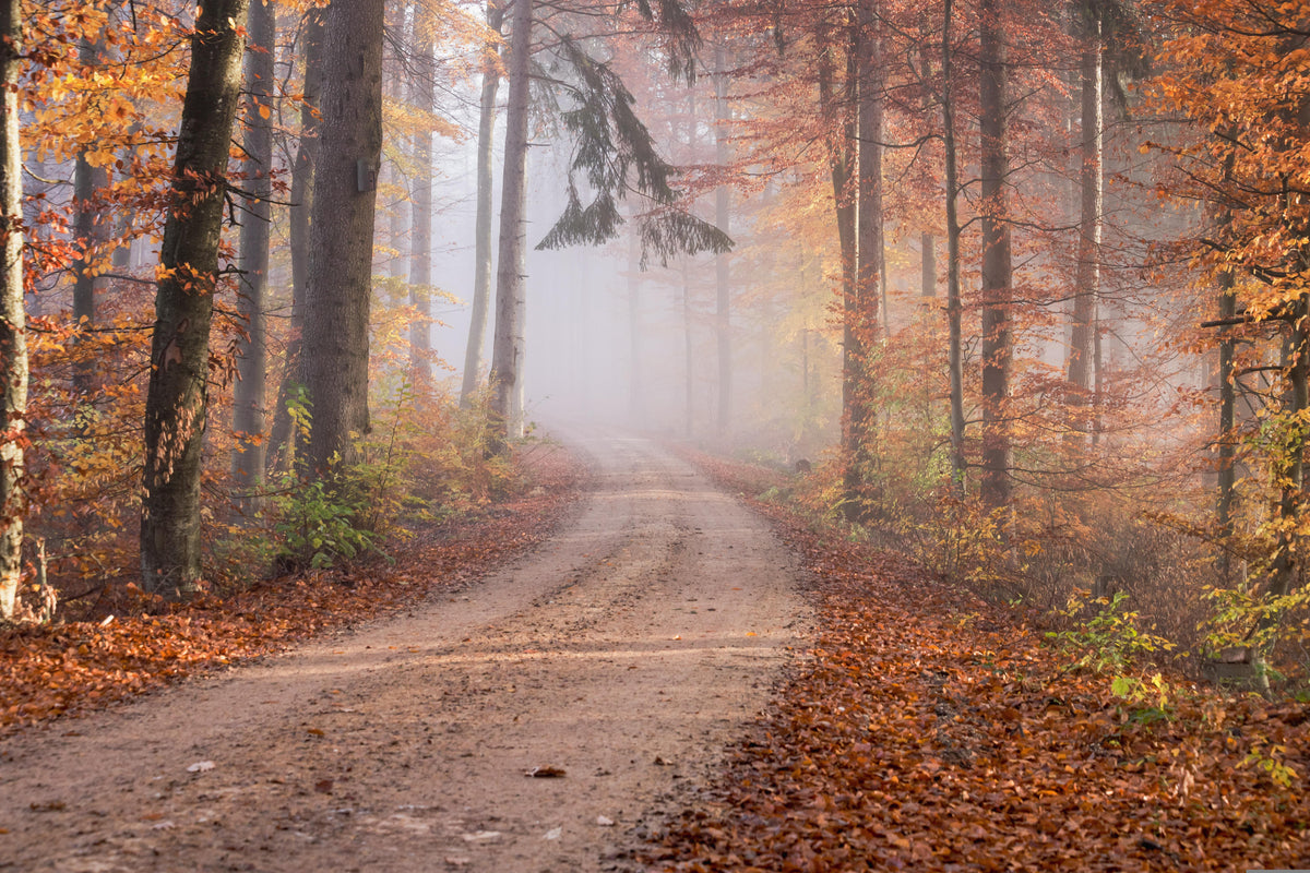 From the Asiago Plateau to your beauty bag: an autumn anti-ageing recipe