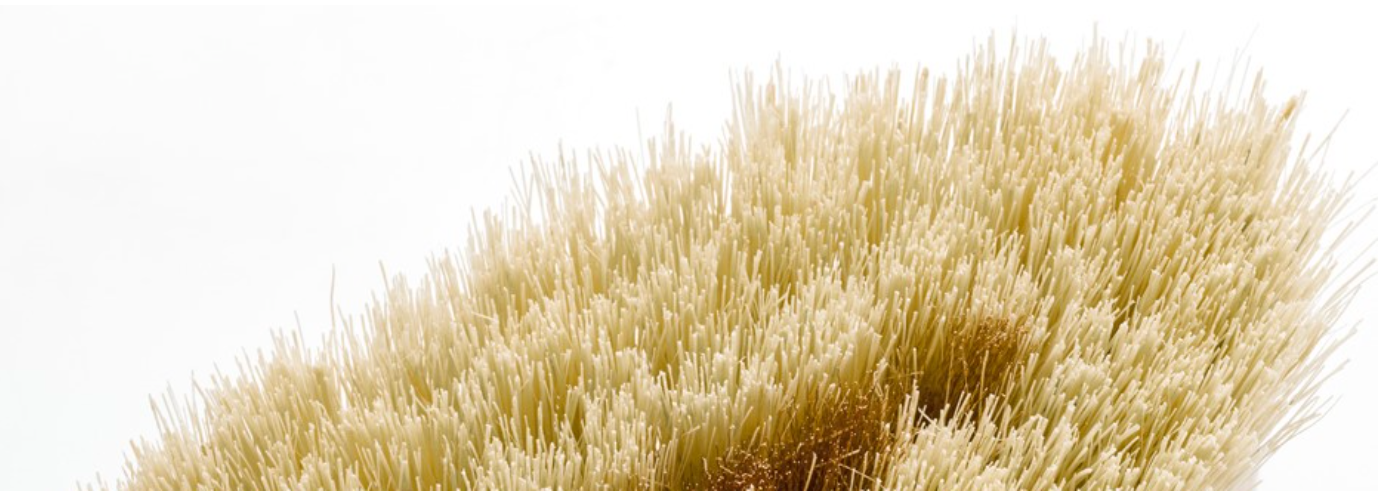 You write Body Brushing and read Wellbeing